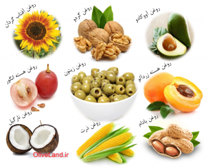 9 روغن گیاهی سالم و پرخاصیت| Healthy and nutritious vegetable oil