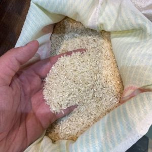 قیمت برنج دابو