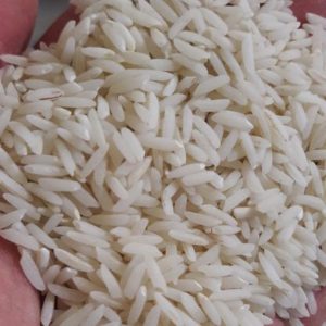 قیمت برنج هاشمی گیلان
