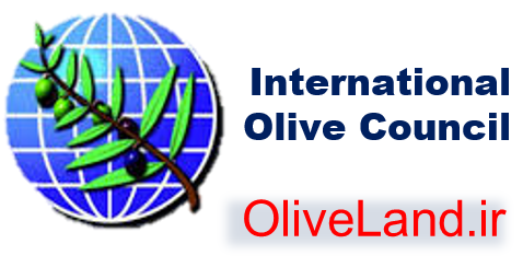 International Olive Council