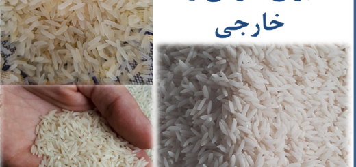 لیست قیمت انواع برنج